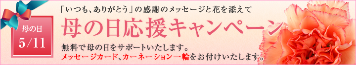 母の日キャンペーン